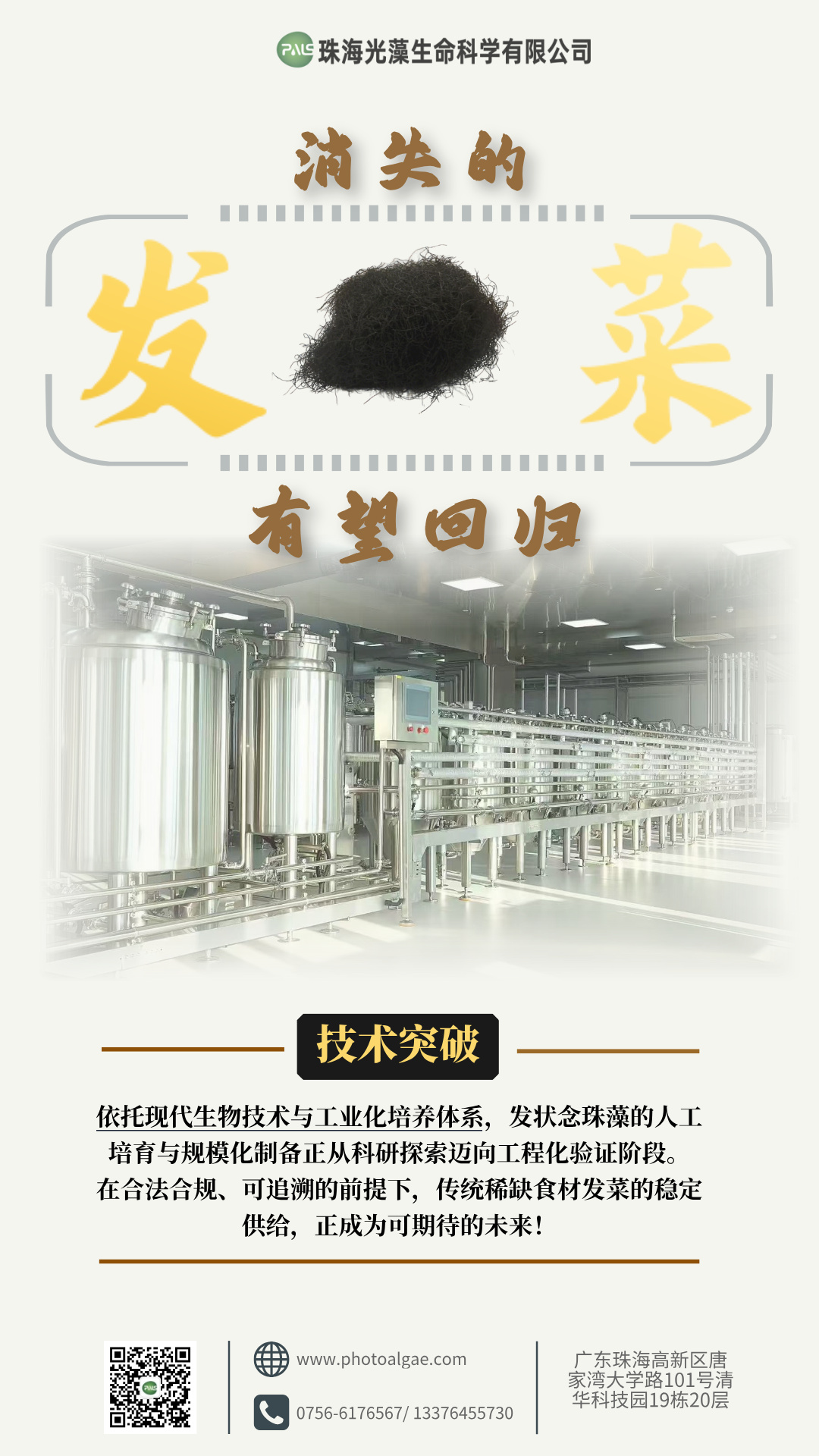 发菜.jpg