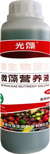 微藻营养液-水果用