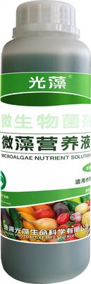 微藻营养液-瓜果用