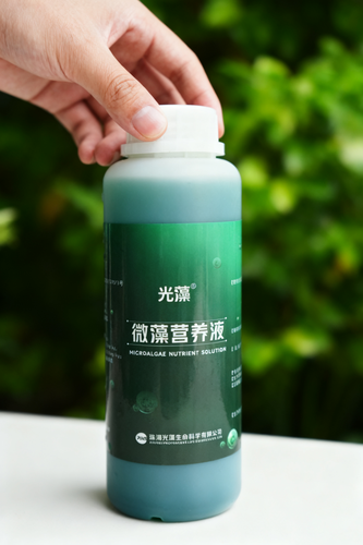 微藻营养液-通用型